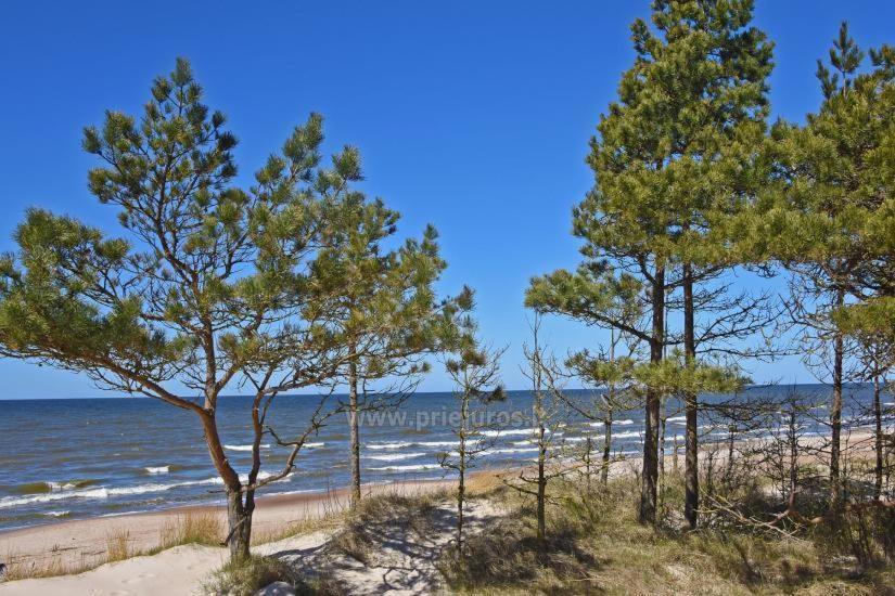 Optimistas Apartman Palanga Kültér fotó